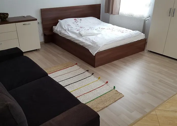 Апартаменты Garsoniere Dinu