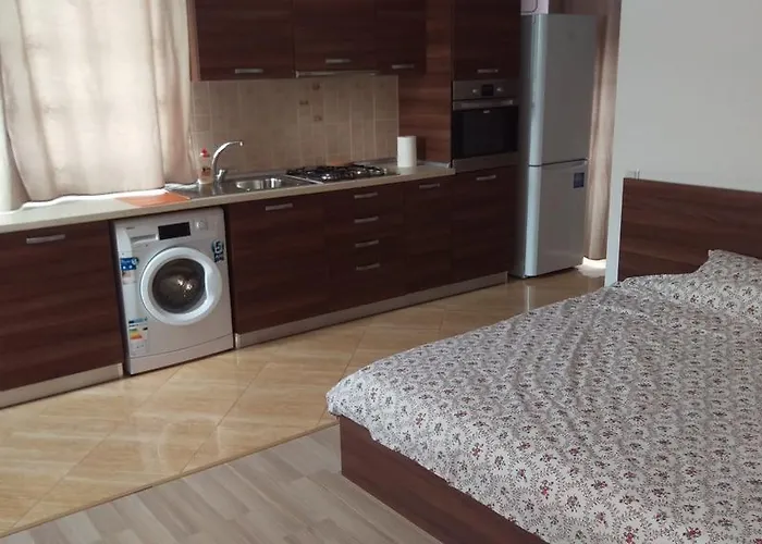 Апартаменты Garsoniere Dinu