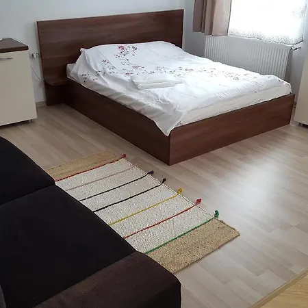Apartment Garsoniere Dinu