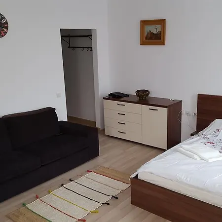Apartamento Garsoniere Dinu *
