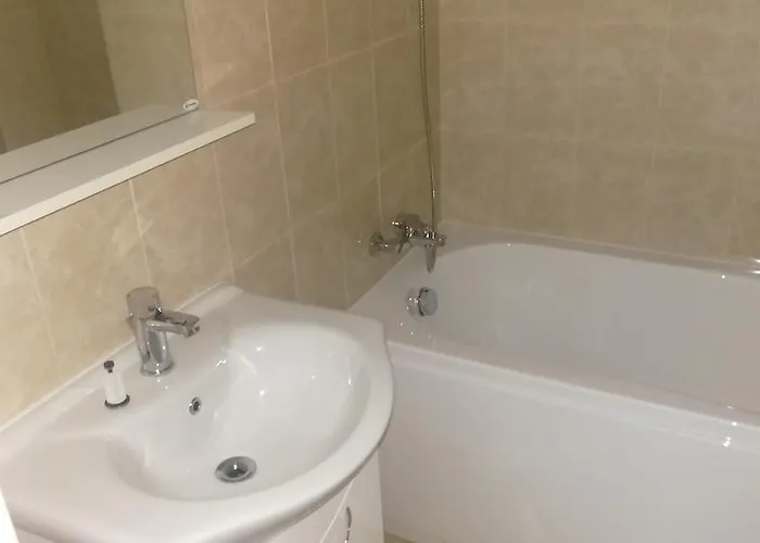 Apartment Garsoniere Dinu *