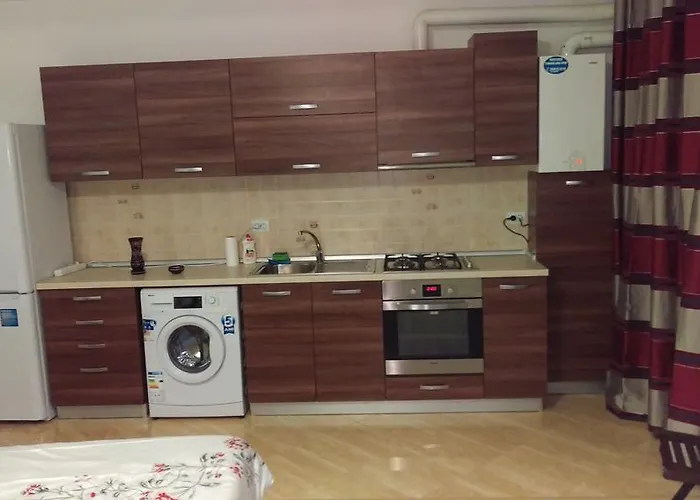 Apartment Garsoniere Dinu