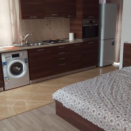 Appartement Garsoniere Dinu