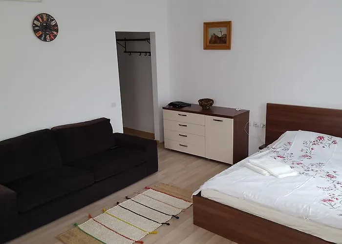 شقة Garsoniere Dinu *