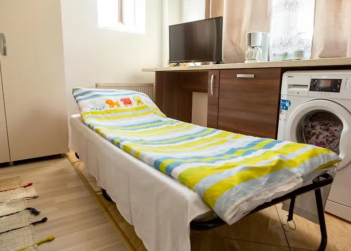 Garsoniere Dinu شقة *