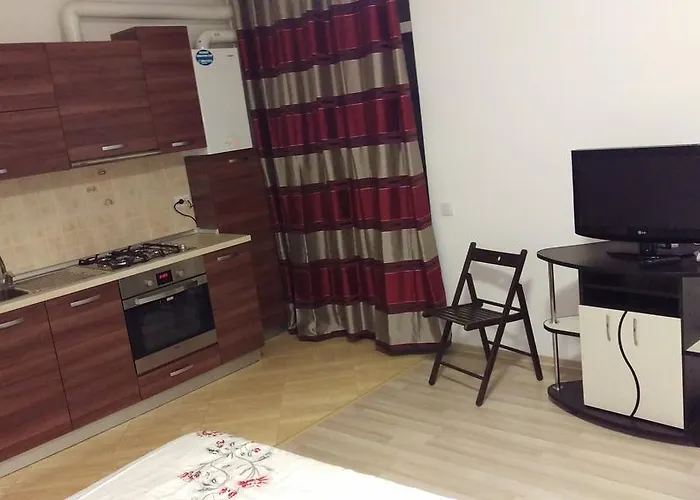 Apartament Garsoniere Dinu *