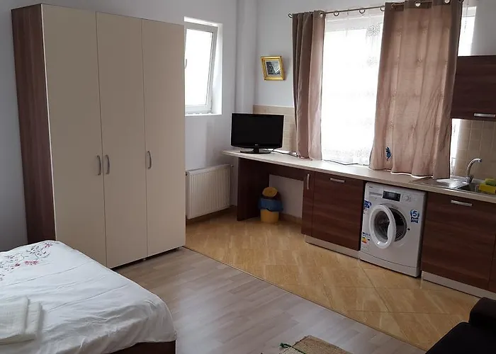 Daire Garsoniere Dinu Bükreş