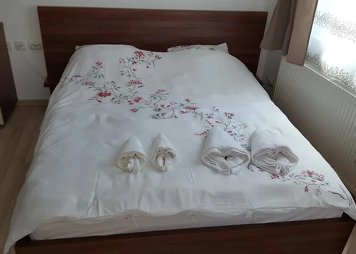 Daire Garsoniere Dinu