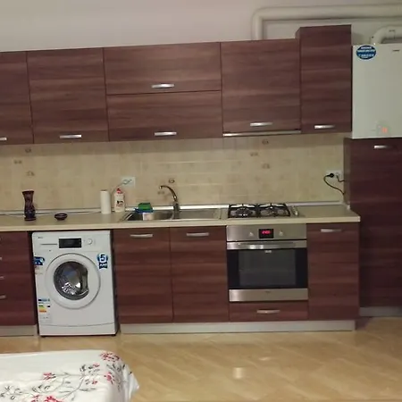 Apartamento Garsoniere Dinu