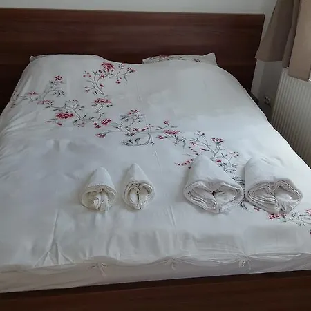 Apartamento Garsoniere Dinu